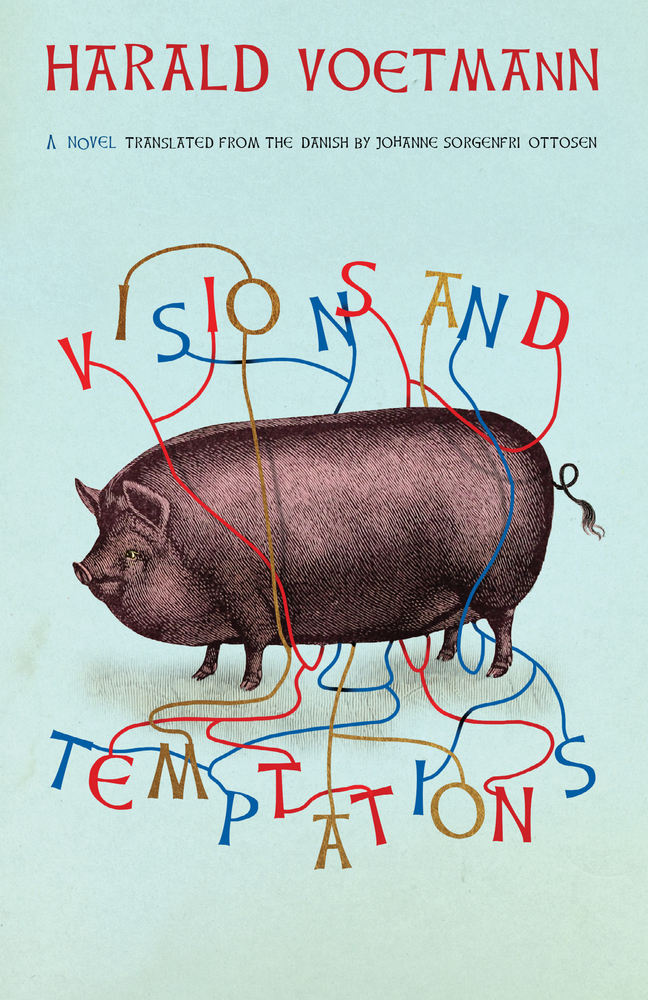 Book cover: Visions and Temptations by Harald Voetmann