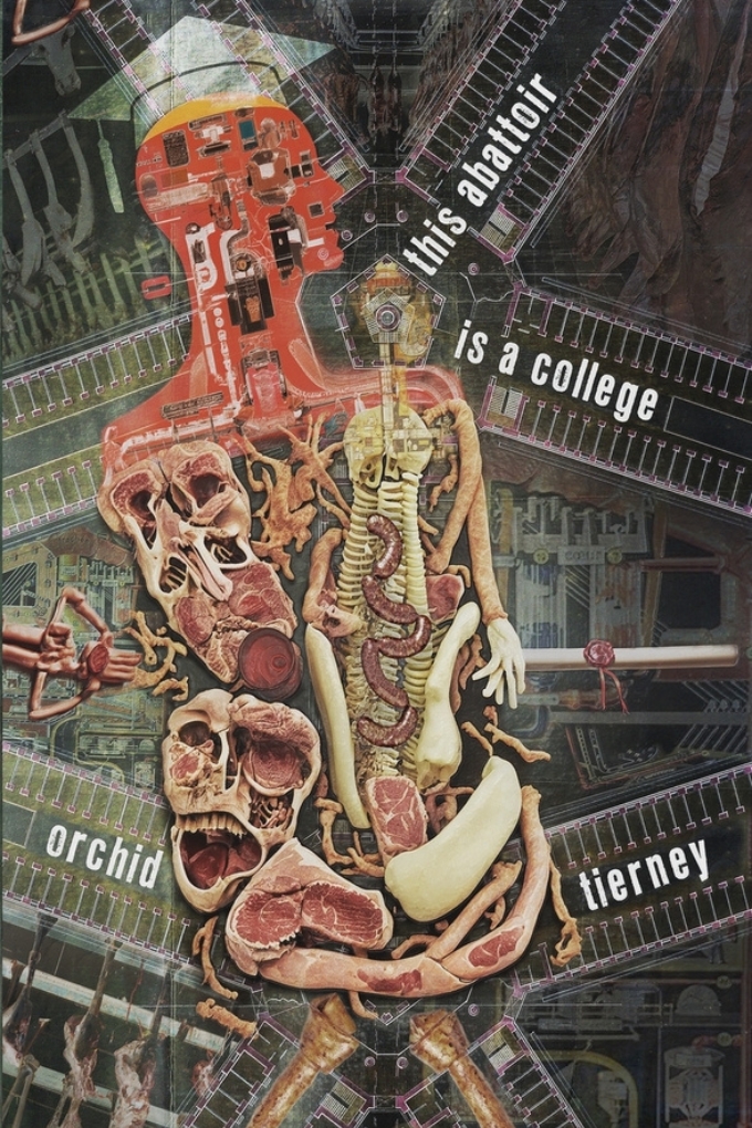 Book cover: this abattoir is a college by Orchid Tierney