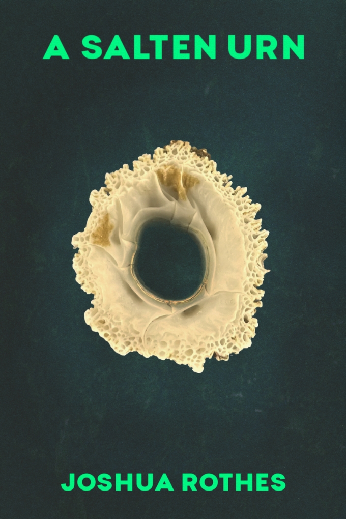 Book cover: A Salten Urn by Joshua Rothes